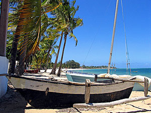 Surf & Turf (Zuid-Afrika en Mozambique)