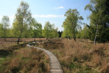 Duitsland | Wandelen in de Eifel over de Matthiasweg - Deel 1