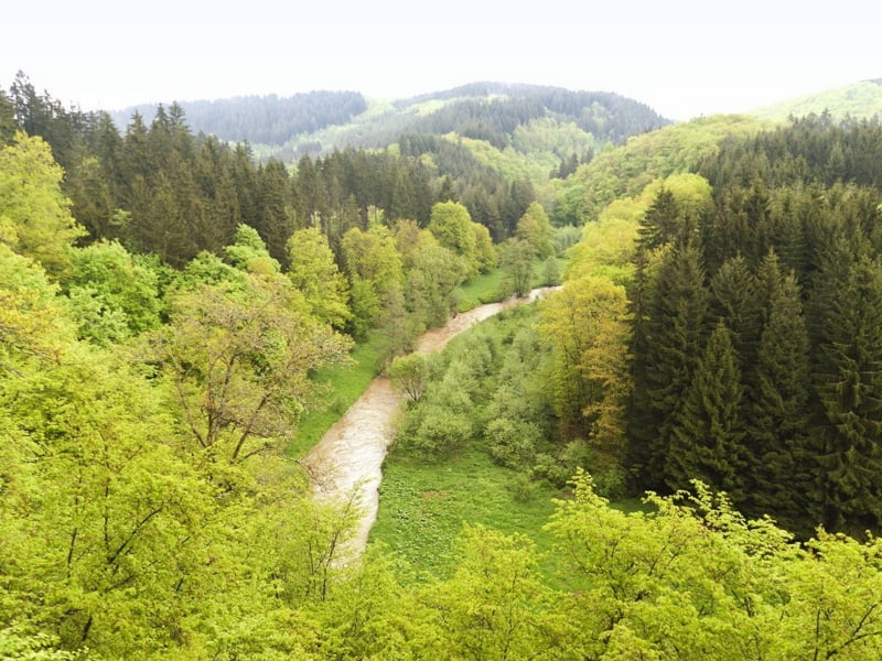 Duitsland | Wandelen in de Eifel over de Matthiasweg - Deel 2