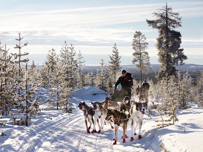 Finland | Wintersport avonturenweek
