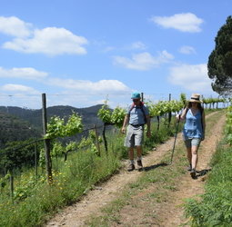 Wandelvakantie Portugal - De Douro Vallei