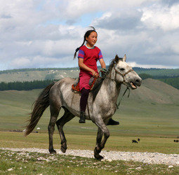 Groepsrondreis Mongolië